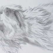 05182013200_card