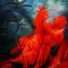 Nasim-naghibi-playfullove-2013-resize1_square