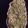 73111_039_thumb