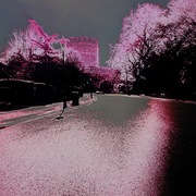 Img_0889_card