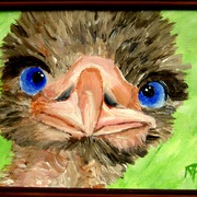 Howdy-sold_card