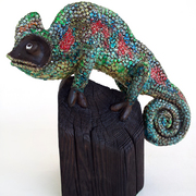 Kameleon_card