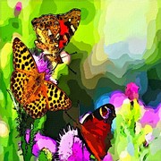 Card_art1_card