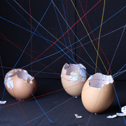 Eggs_card