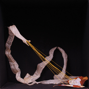 Dsc_0028_card