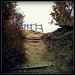 ______4567_square