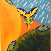_____013_card