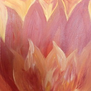 Sam_7323_card