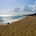 Img_0065_watermark_square