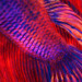 Abstract_1_square