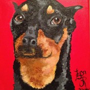 Minpin__2__card