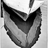 Wasserspiegel_thumb