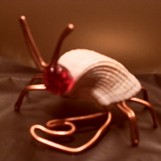 Sam_1395_card