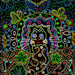 Weird_cat_square