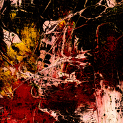 281______cysts_of_the_dispute________21x21mix_______2012