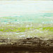 Havana_moss_square