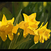 Flower_card