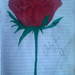 Roze
