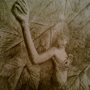 Mother_nature_card