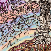 Img029_card