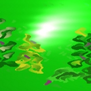 Reflection_in_green_card