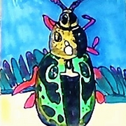 Caligrapha_beetle_card
