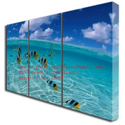 Tropical_coast_canvas_print_card