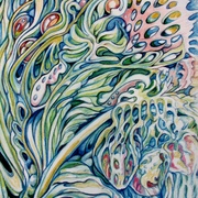 Img_8305_card