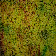 599534_633452950004871_641823588_n_card