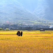 Dali-2012-sep-photo-zhaofan-1000-1_card