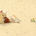 Dog_s_life_square