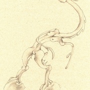Scan0017_card