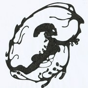 X_28x20_5cm_-_rapidograf_card