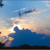 6239_thumb