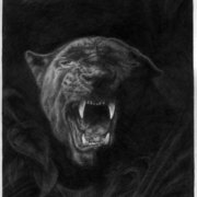 Panther_card