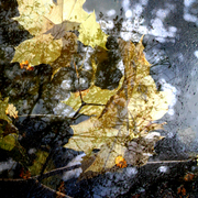 After_rain_card