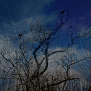Img_0046_card