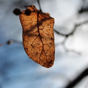Img_0503_card