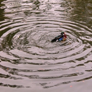Img_0118_card