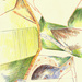 Naamloos-5_square