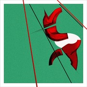 13_72_net_card