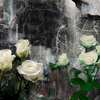 Moonlight___roses_thumb