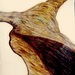 Thisjerney_square