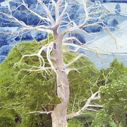 11a_card