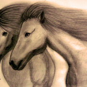 Caii_card