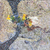 Submit005_tiny_square