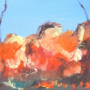 Dutch_copy_card
