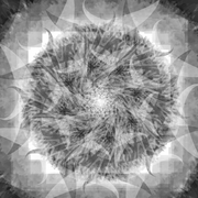 674255_card