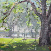 In_the_shade_of_the_big_tree_card