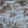 Bild_1868_thumb